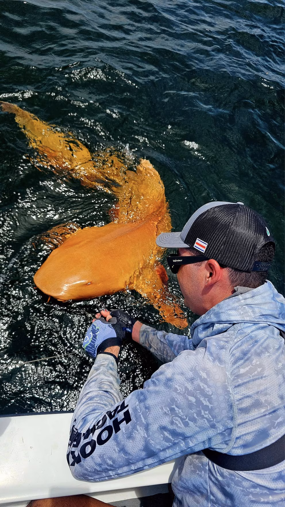 Descubren en Costa Rica un tiburón naranja único en el mundo