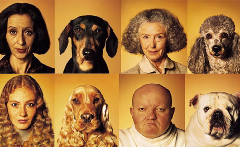 ¿Por qué los perros se parecen a sus dueños? La ciencia detrás de este vínculo psicológico