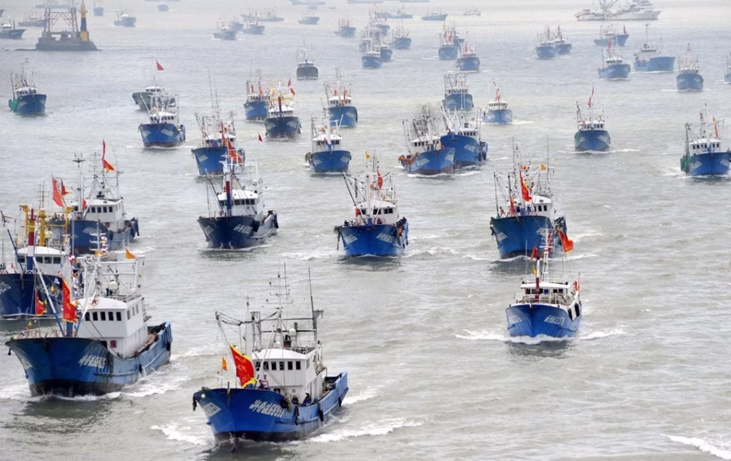 Pescadores denuncian presencia de flota china que estaría depredando el mar chileno