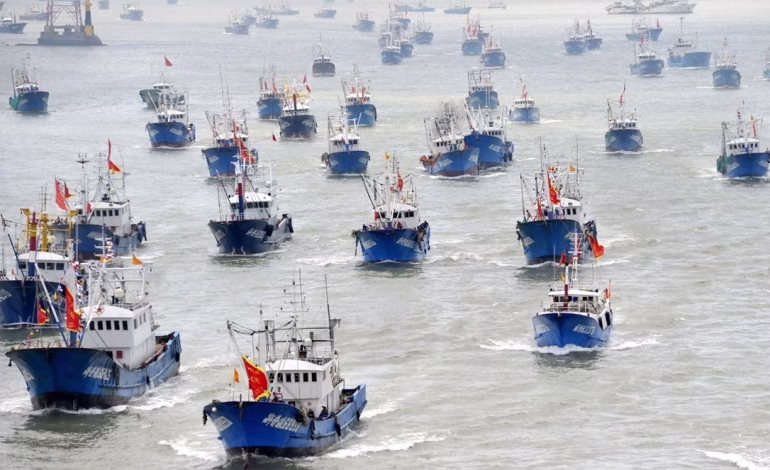 Pescadores denuncian presencia de flota china que estaría depredando el mar chileno