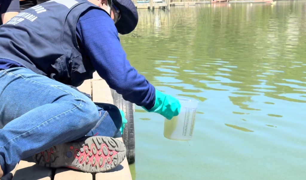 Autoridades declaran riesgo sanitario en el Lago Vichuquén por alta concentración de cianobacterias