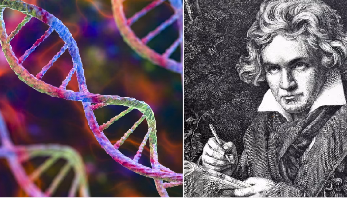 El ADN de Beethoven revela nuevas pistas sobre su enfermedad, su muerte y un secreto familiar