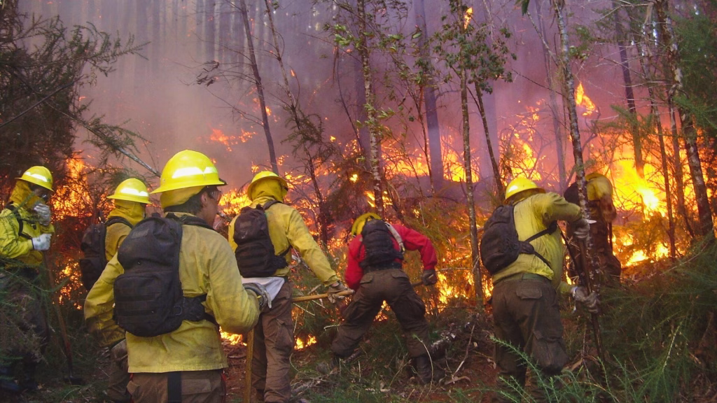 Conaf prende las alarmas, negligencias humanas detrás de la ola de incendios forestales