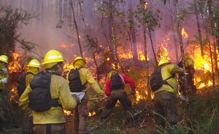 Conaf informó que el 75% de los incendios forestales en Chile durante la temporada 2025–2026 son evitables y que la principal causa es la negligencia humana.