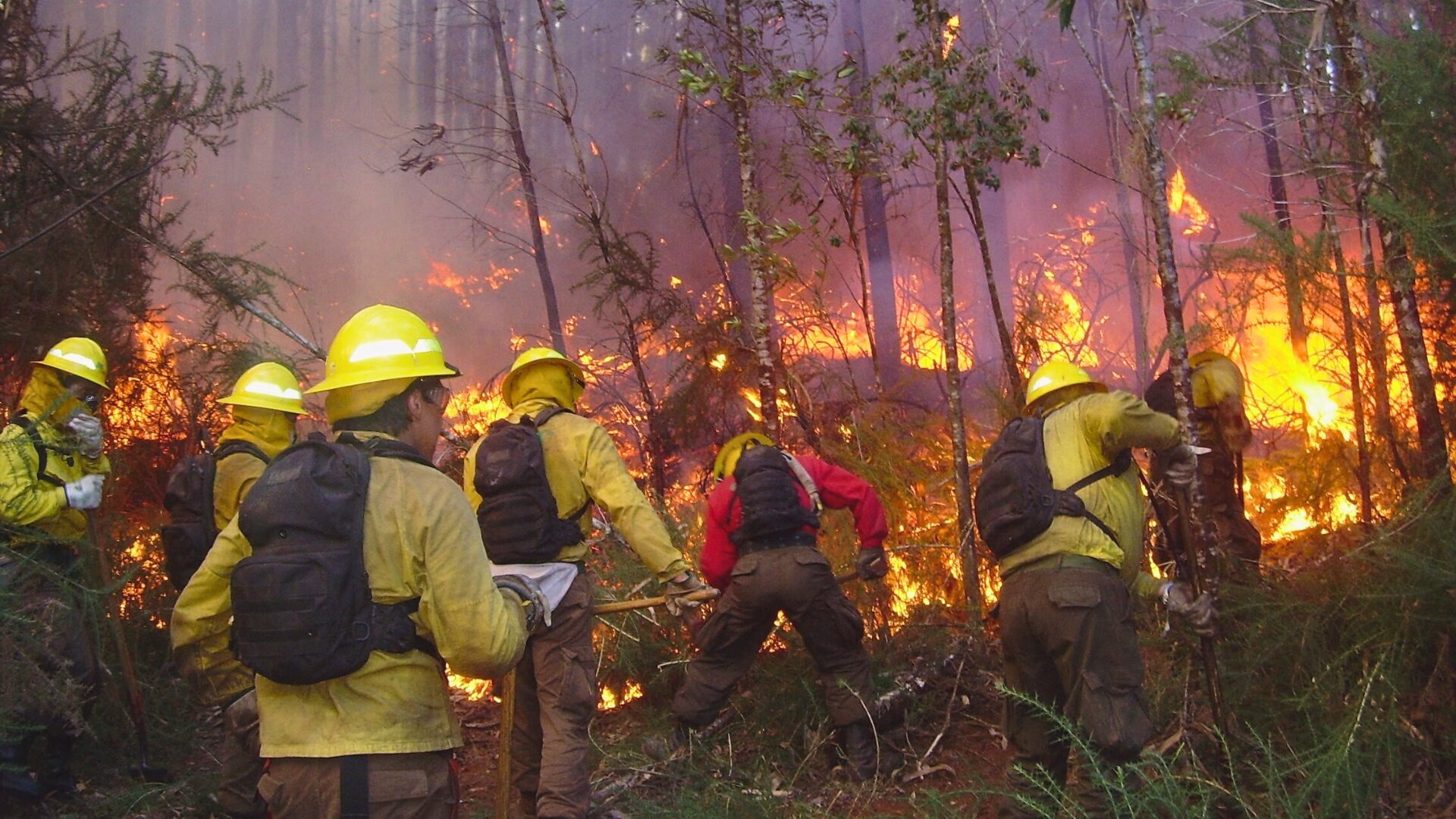 Conaf prende las alarmas, negligencias humanas detrás de la ola de incendios forestales