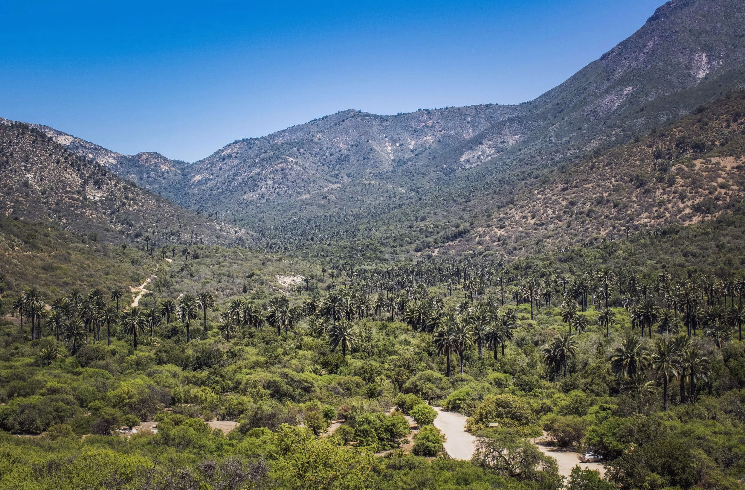 Contraloría alerta por masivas construcciones sin permiso en el entorno del Parque Nacional La Campana