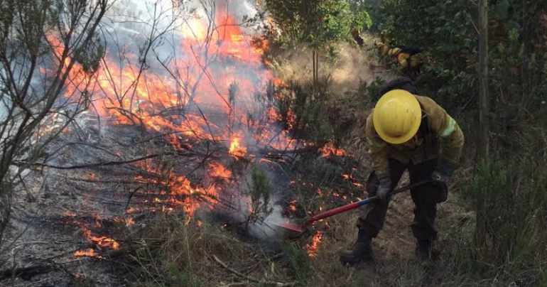 Incendio forestal en Laguna Verde obliga a declarar alerta roja en Valparaíso. Senapred activó alerta SAE y ordenó evacuar Camino Los Lobos por riesgo a zonas habitadas.