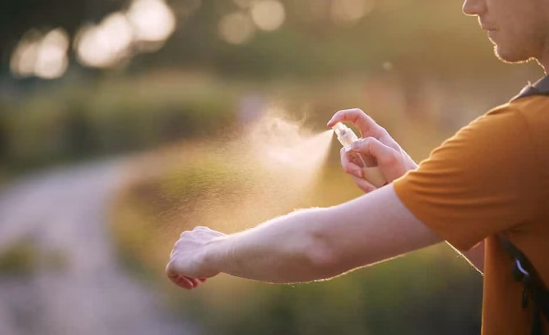 Salud refuerza alertas de verano ante alza de brotes alimentarios y casos importados de dengue