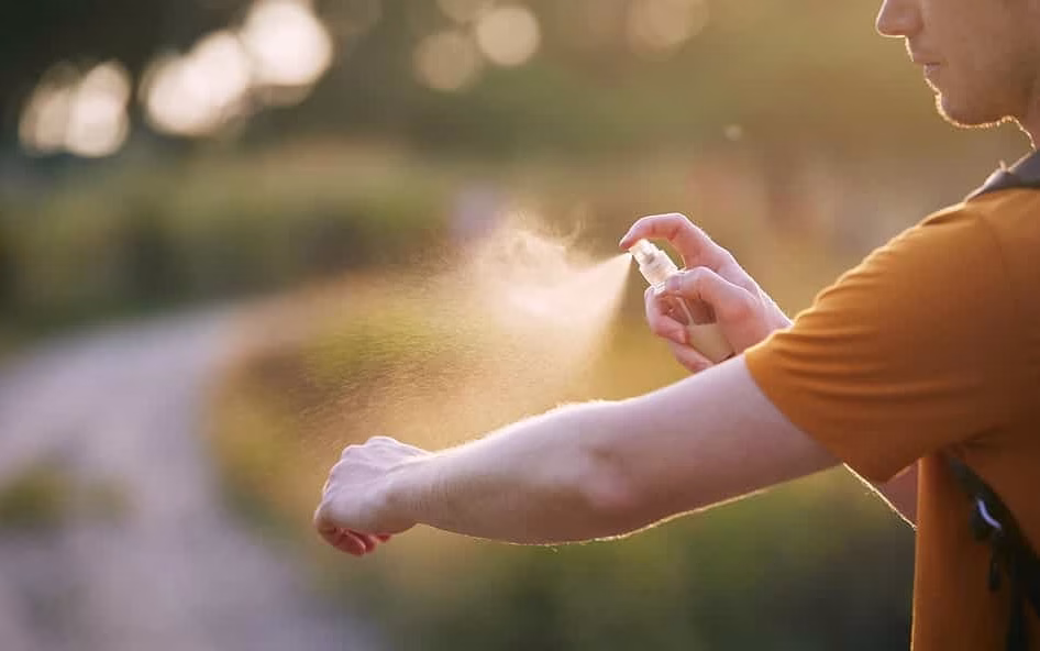 Salud refuerza alertas de verano ante alza de brotes alimentarios y casos importados de dengue