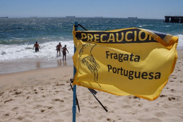 Autorizan nuevamente el baño en playas de El Quisco tras monitoreo sanitario