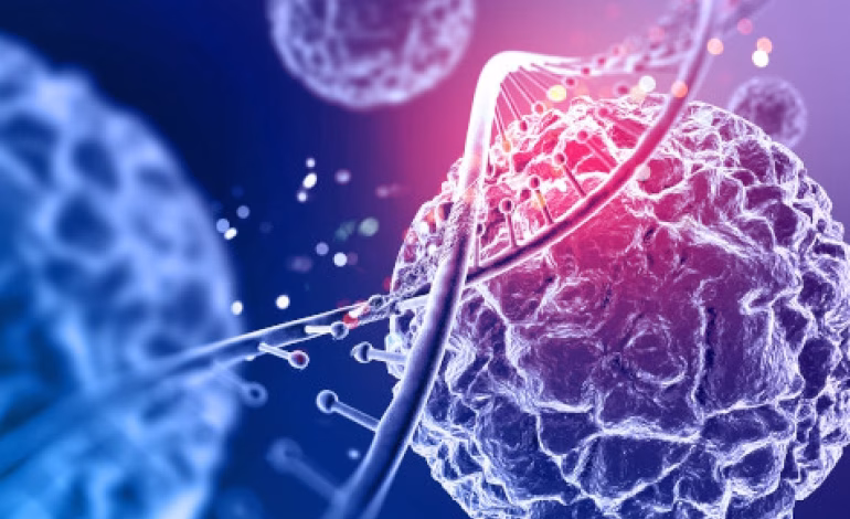 Estudio científico alerta de que popular antioxidante podría acelerar el crecimiento del cáncer
