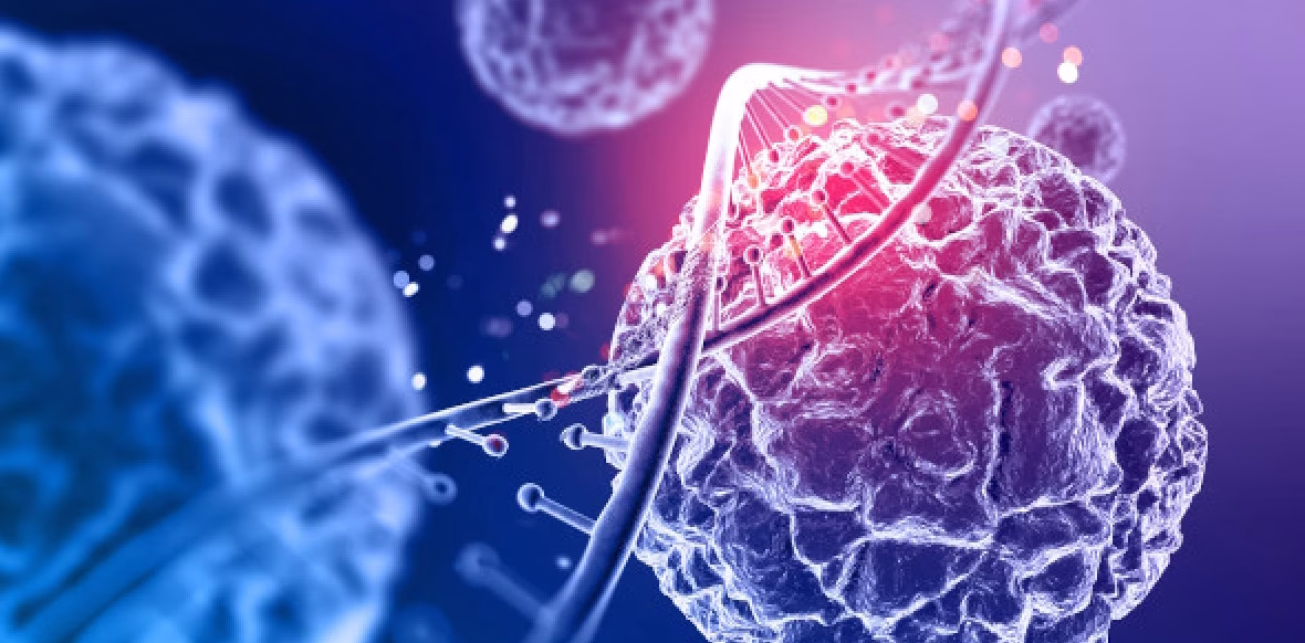 Estudio científico alerta de que popular antioxidante podría acelerar el crecimiento del cáncer