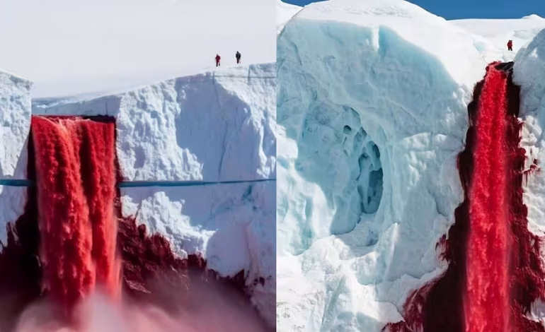 Un estudio científico revela el origen de las famosas Cascadas de Sangre en la Antártida. Descubre por qué el agua roja emerge del hielo del glaciar Taylor.