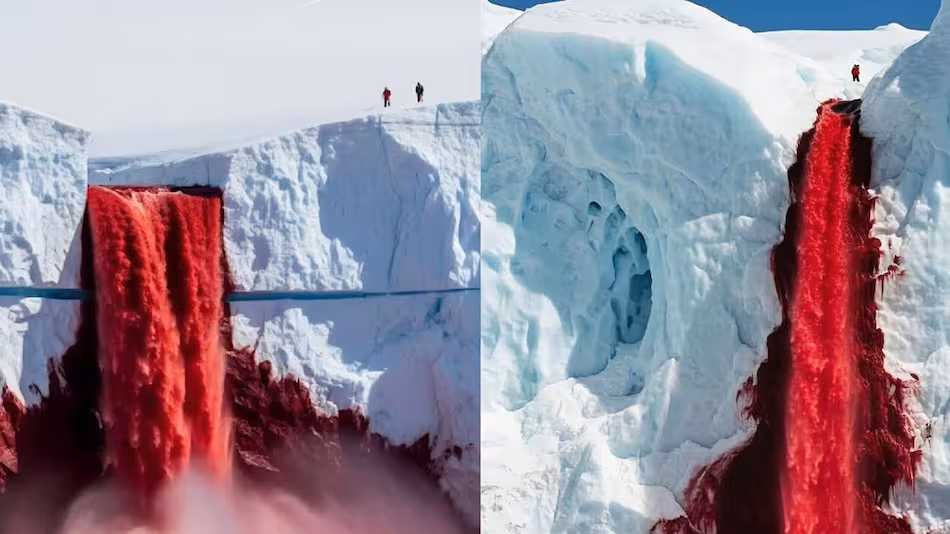 El misterio de las “Cascadas de Sangre” en la Antártida: científicos revelan por qué el agua sale roja del hielo